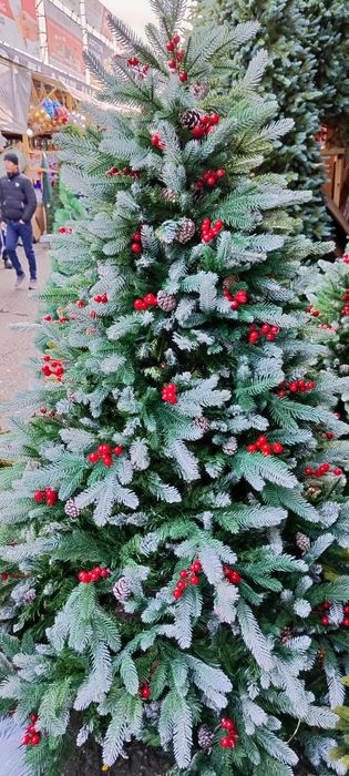 Archalar optim narxlarda