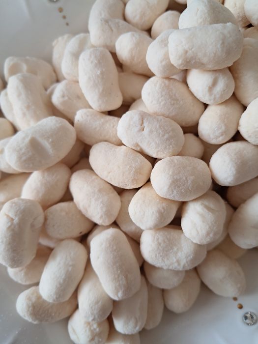 курт колдын курты