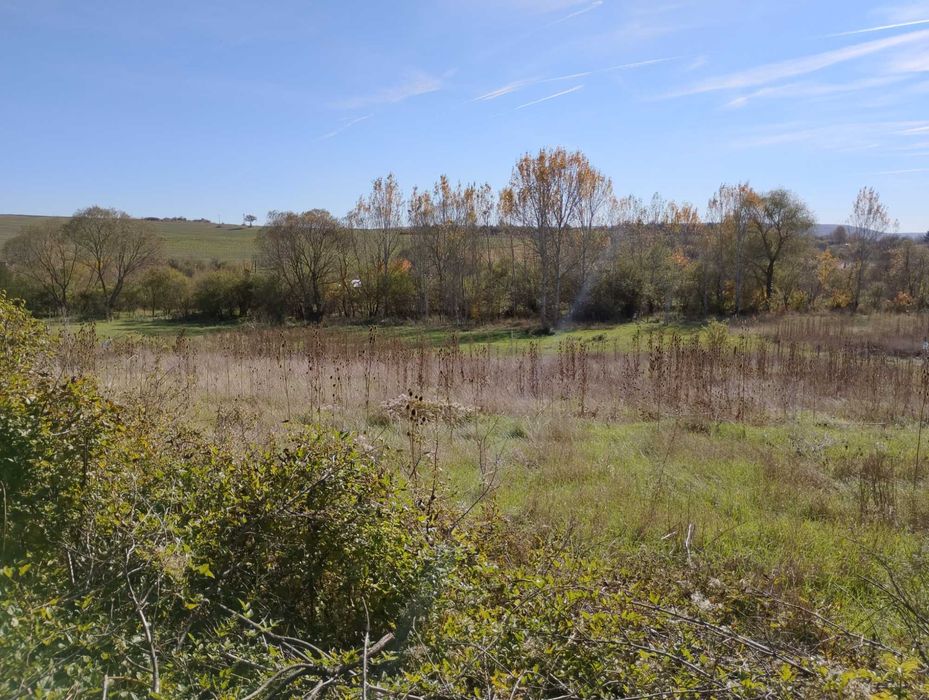 Продава се Парцел в Търговище, Център - 1600 кв.м за 4 €/кв.м - Снимка #3