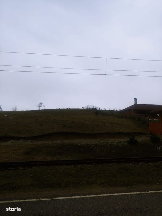 Teren 1600 mp Paltinoasa intravilan