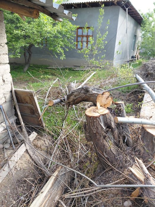 Terak 6 va 4  metrli qalinlari sotiladi