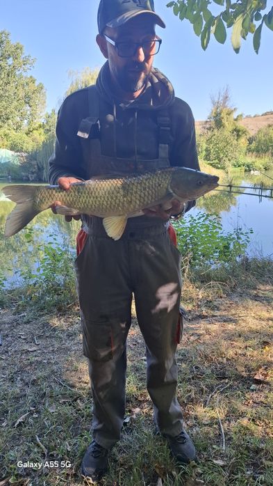 Болонеза Daiwa Freams PW60