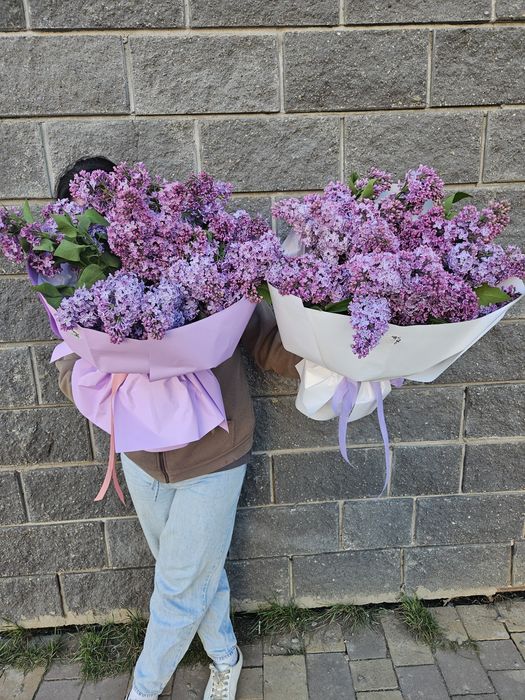 Сирень 1 букет 11500 тенге