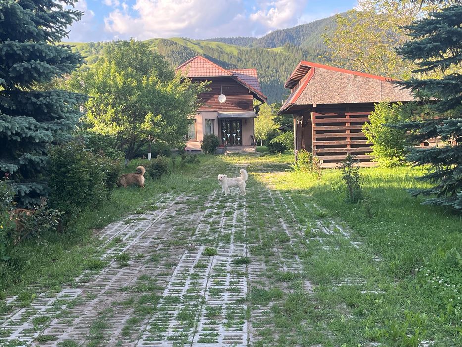 Casă de vânzare Tașca