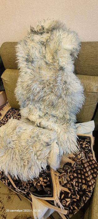 Продам накидки на сиденья