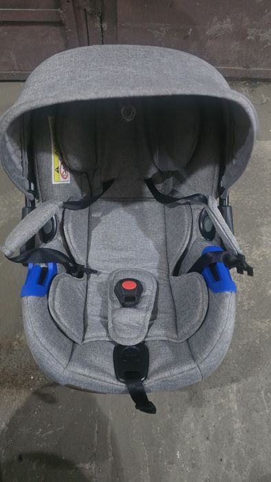 Scoica Auto Coccolle