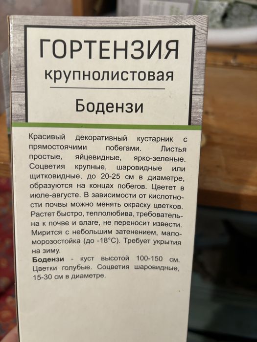Продам гортензии