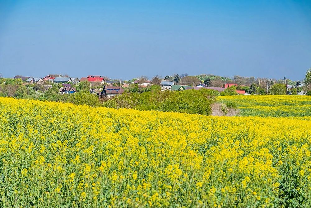 Vand 1000mp teren intravilan