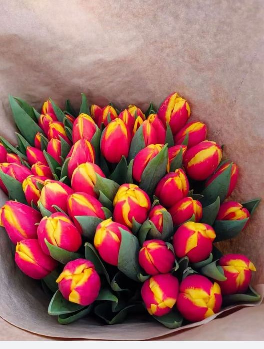 Цветы Тюльпаны!!
