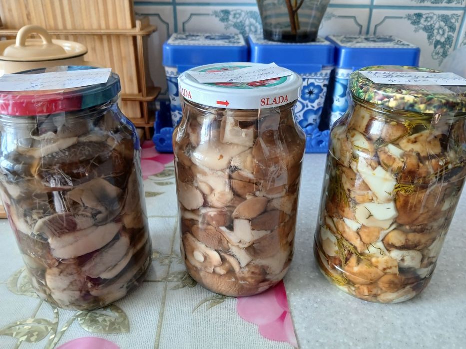 Солёные маринованные грибы