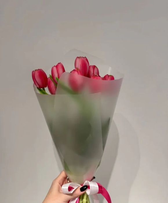 Тюльпаны •тюльпаны тюльпаны тюльпаны тюльпаны