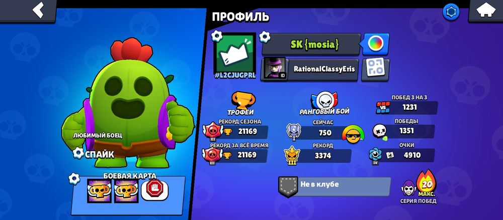 Акк бс очень много скинов