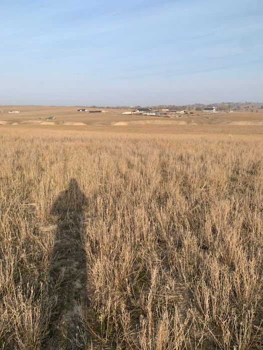 Продается участок 7 гектар срочно