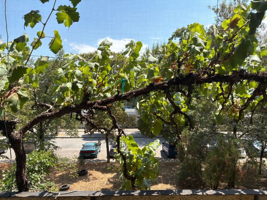 Дава се под наем Двустаен апартамент в София, Дружба 1 - 65 кв.м за 530 € - Снимка #2