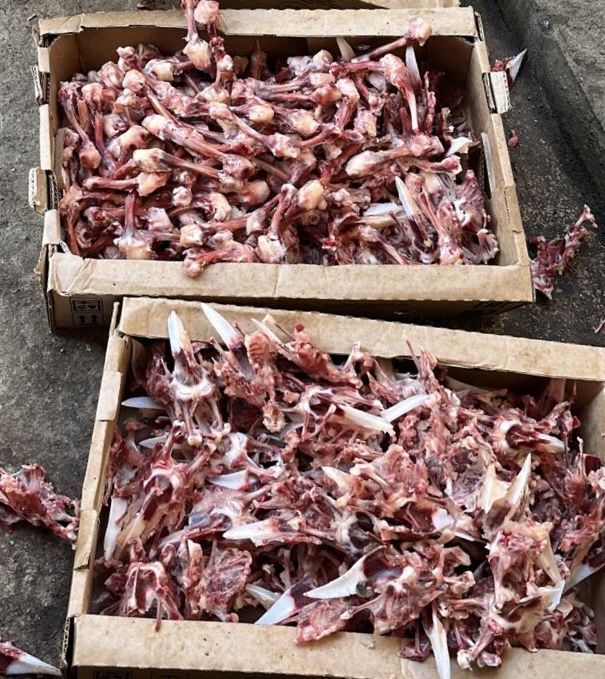 Куриные кости для собак