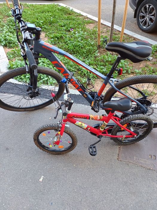 Bicicleta Carpat Wrangler