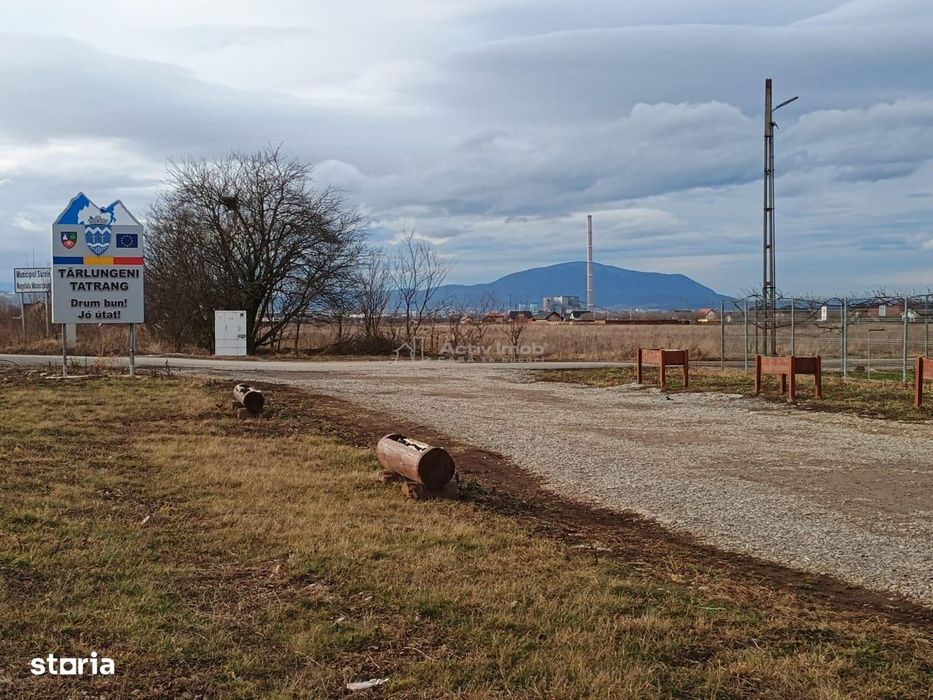 Teren 9000 mp Sacele Izvor, front 356 m la DJ 103A