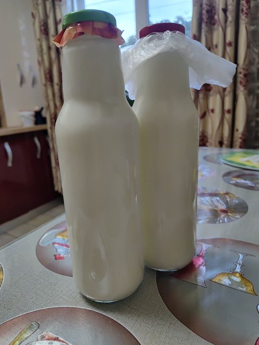 Ciupercă de chefir ptr fermentarea a 400 ml de chefir