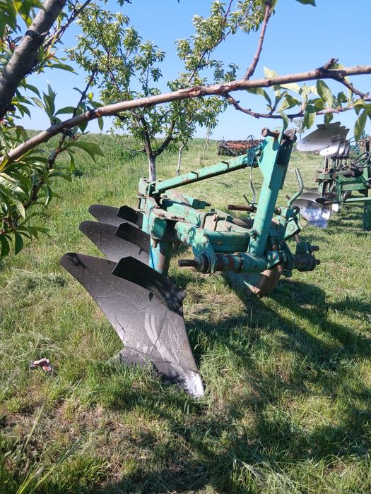 Plug Unia polonez
