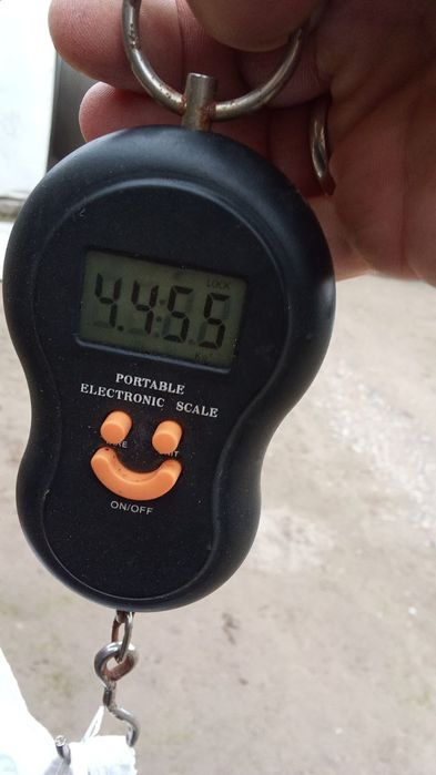 Продам кроликов 3 самки