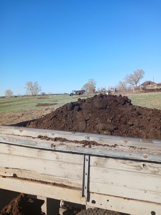 Продам навоз (перегной)