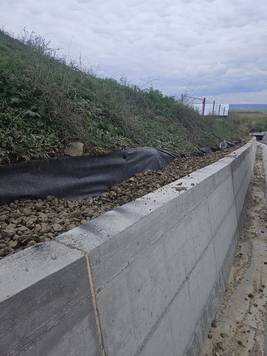 Execut:  Case ,garduri si ziduri de sprijin..