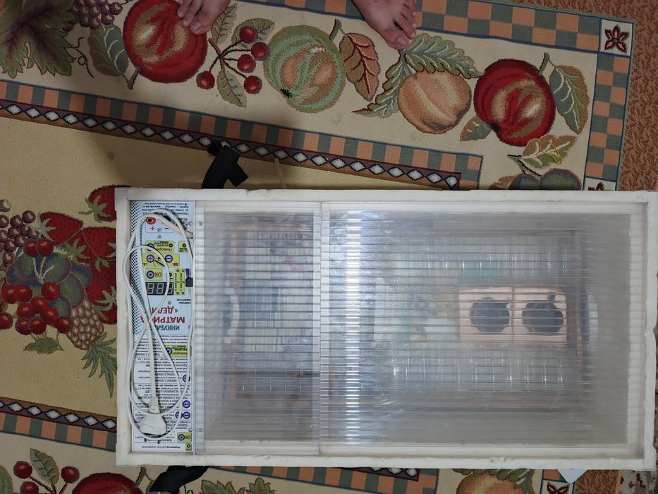 Инкубатор Матрица Дели