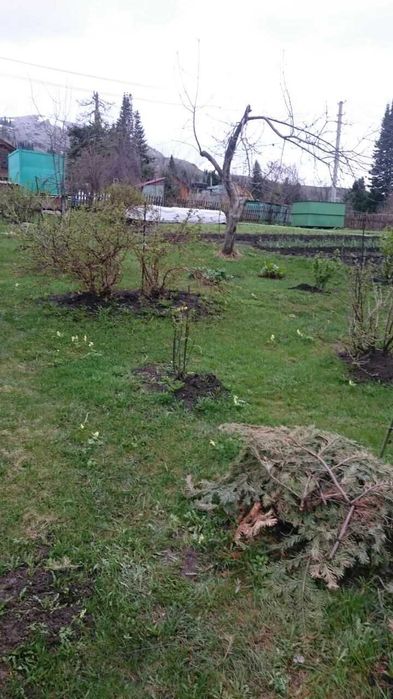 продам дачу дачи умз за тарханкой