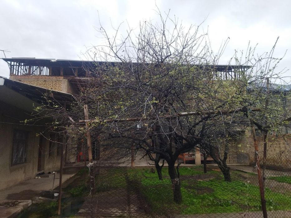 Sroshna uy sotiladi 1 sotix 33000$