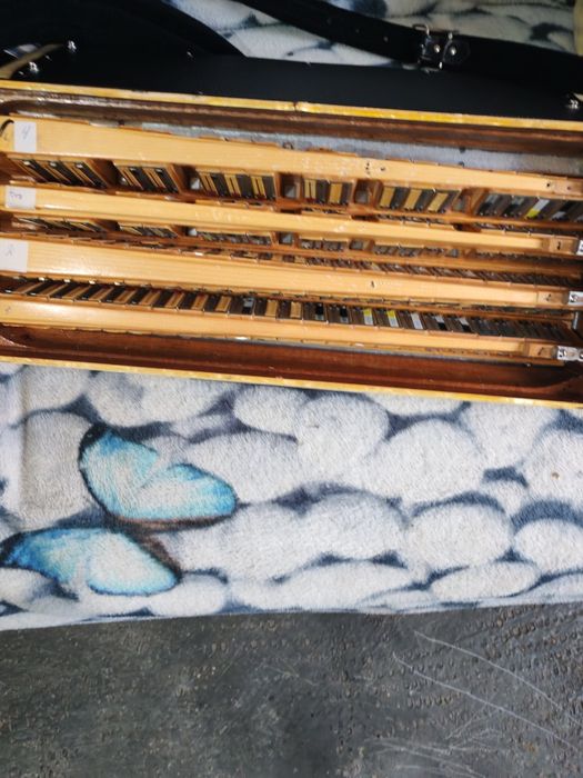 Vând acordeon Eccesior