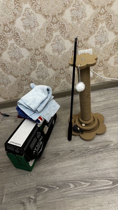 Отдаю ласкового котенка