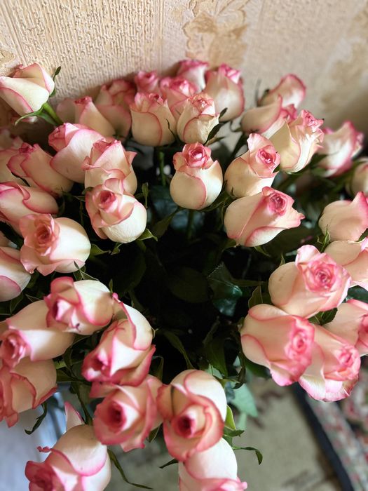 Голансские  розы