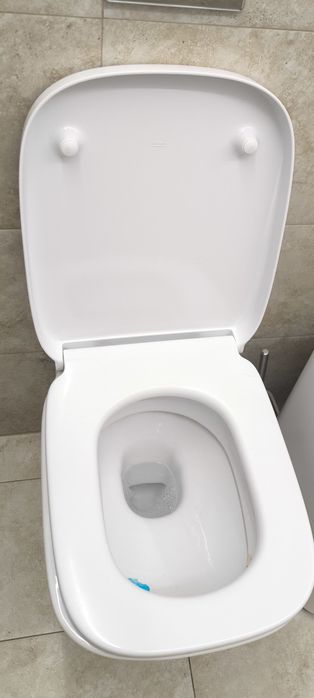 Capac WC Roca The Gap Square