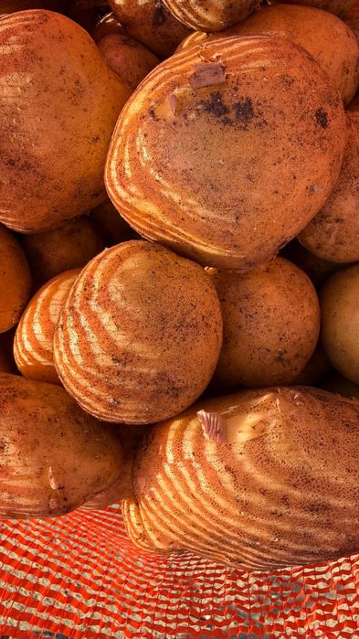 Продам картофель дачный