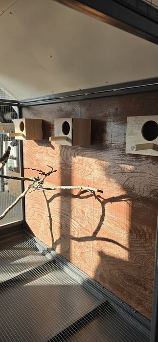 Папугайға клетка