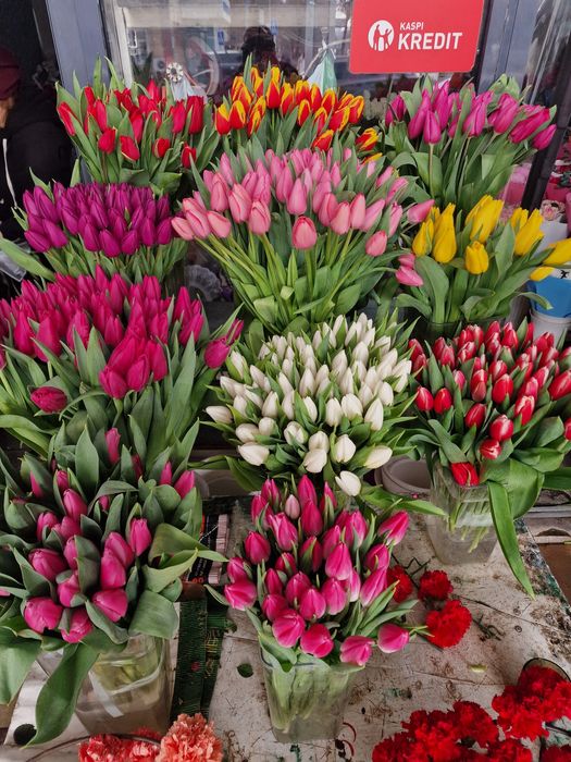 Тюльпаны отборные премиум