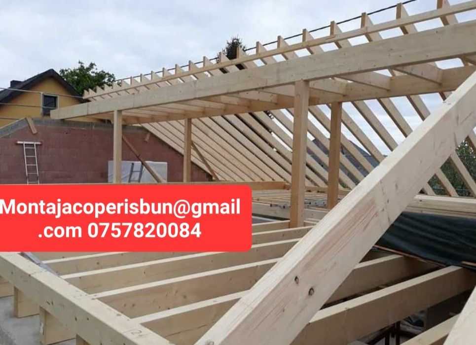 Meseriași profesioniști constructorii acoperisuri complete