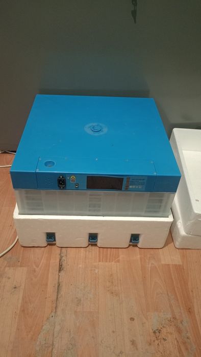 Инкубатор сатылады