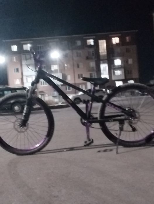 Стант вилик и горный