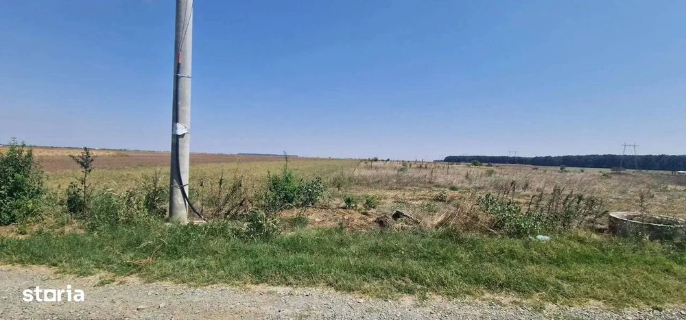 Teren de vânzare in Branesti 1543 mp lângă Pădure  Toate utilitățile