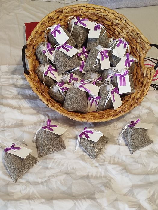 Saculeti lavanda