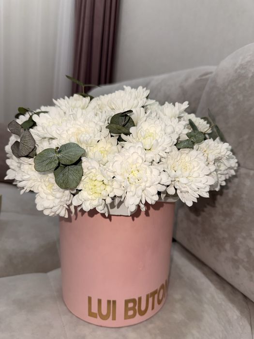 Цветы хризантема