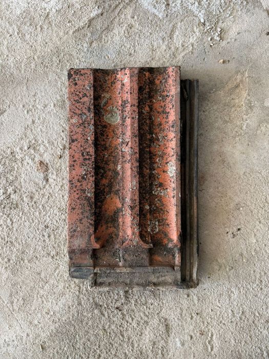 Țiglă veche de Jimbolia (fabrica Bohn) autentică