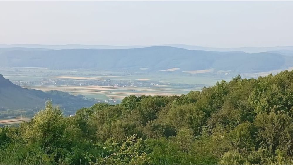 VÂNZARE TEREN 34.500 mp – Câțcău, jud. Cluj – CF: 50417