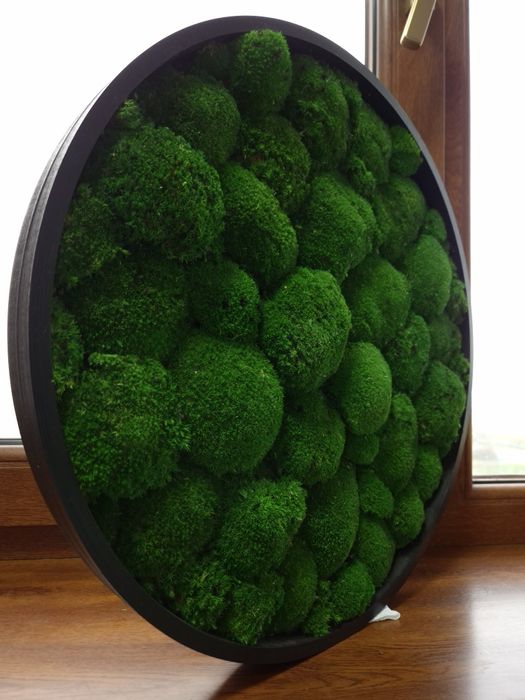 Tablou Rotund din muschi 45 cm