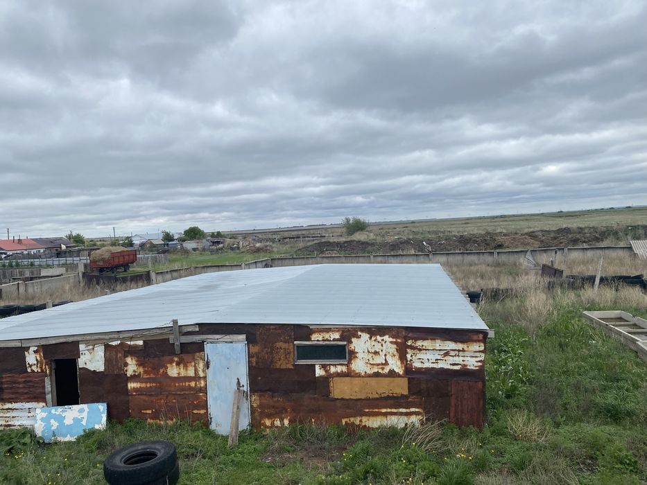 Дом в с Перцевка