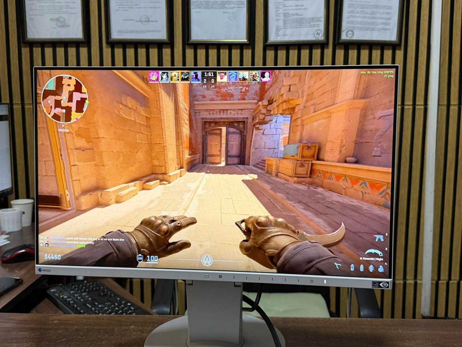 Монитор Eizo FlexScan EV2450