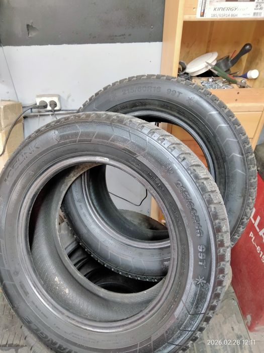 Шины зимние Triangle