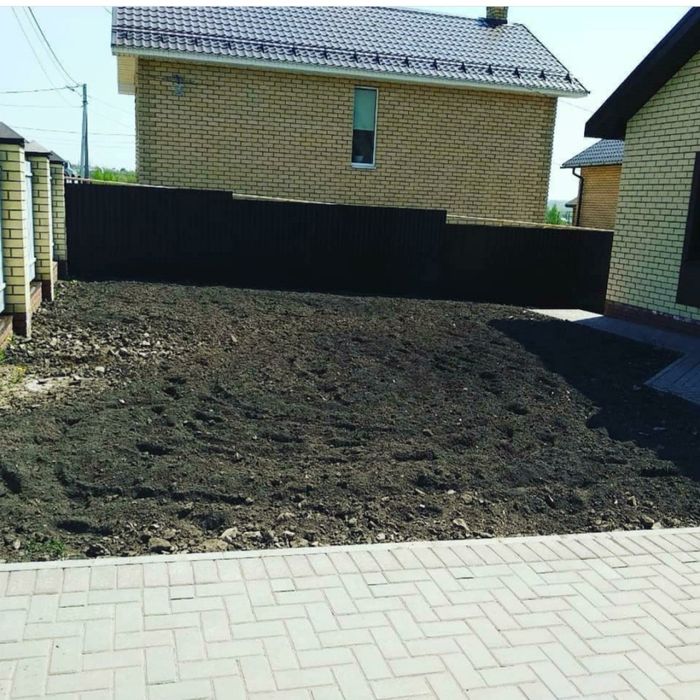 Зеленый сочный газон под ключ