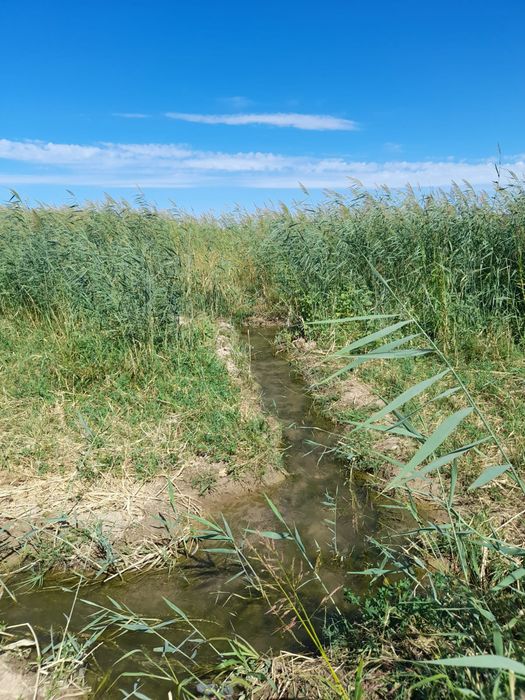 Жер жалга бериледи